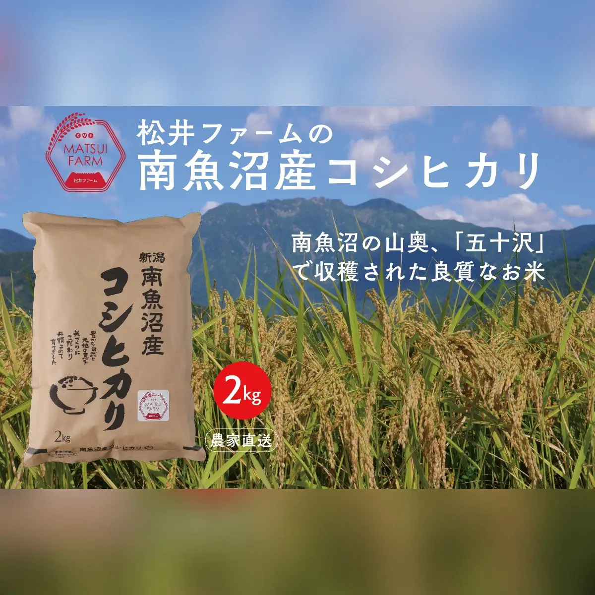 令和8年【新米】【定期便（無洗米）】南魚沼産コシヒカリ（2kg×3回)｜コシヒカリ