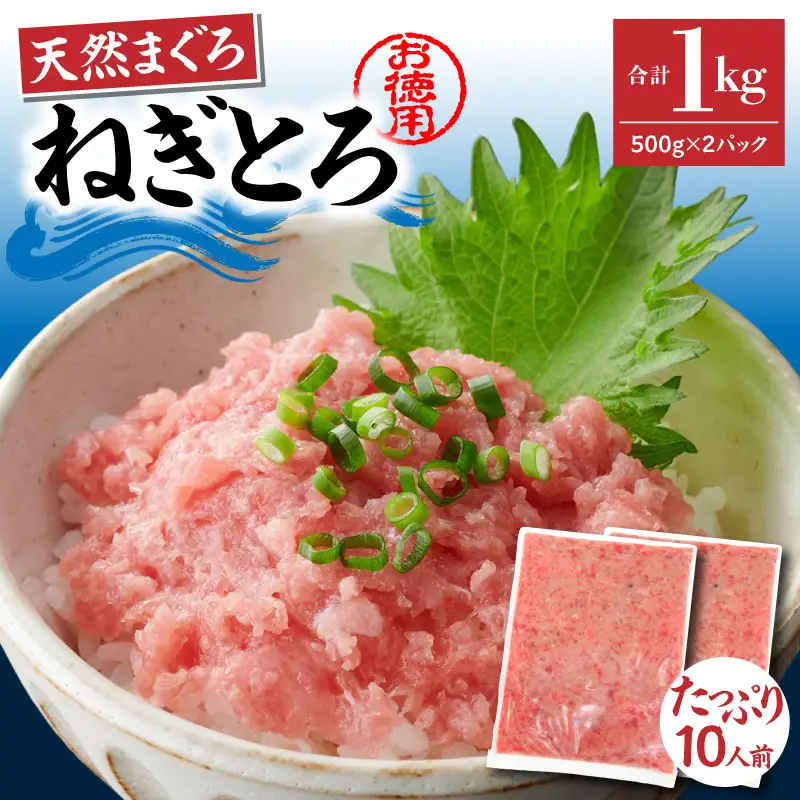 ＜選べる配送月＞【 神奈川県漁連 】 ＜ お徳用 ＞ 天然 まぐろ ねぎとろ 1kg（ 500g × 2P ） M077-011-02 冷凍 マグロ