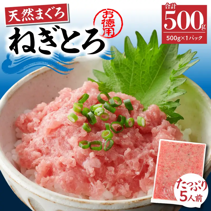 ＜選べる配送月＞【 神奈川県 漁連 】 ＜ お徳用 ＞  天然 まぐろ ねぎとろ 500g M077-011-01 冷凍 マグロ