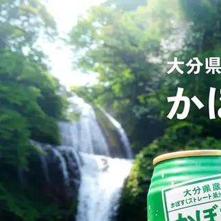 かぼすハイボール (24本入り1ケース) かぼす ハイボール お酒 酒 アルコール 大分県産 果汁 果汁率 辛口 酸味 香り 爽快 飲みごこち ストレート果汁 鍋