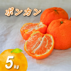 低農薬栽培ポンカン 5kg