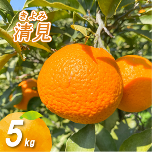 【2027年3月中旬頃から順次発送】低農薬栽培清見 5kg | 数量選択可 清見 みかん ミカン 蜜柑 柑橘 数量限定 愛媛県産 松山市 中島 低農薬 愛媛 ふるさと納税 【NO034】