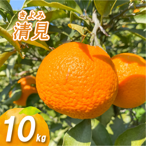【2027年3月中旬頃から順次発送】低農薬栽培清見 10kg | 数量選択可 清見 みかん ミカン 蜜柑 柑橘 数量限定 愛媛県産 松山市 中島 低農薬 愛媛 ふるさと納税 【NO035】