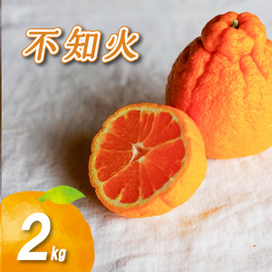 不知火 2kg