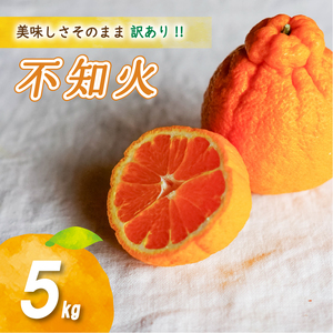 【2027年2月中旬頃から順次発送】 訳あり不知火 5kg | 数量選択可 みかん ミカン 蜜柑 柑橘 数量限定 愛媛県産 松山市 中島 愛媛 ふるさと納税【NO045】