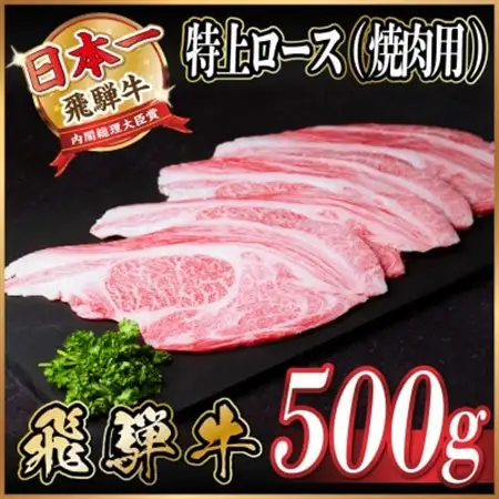 飛騨牛　特上ロース(焼肉・BBQ用)500g　A5等級　黒毛和牛_肉 焼肉 牛肉 やきにく ヤキニク バーベキュー  肉 飛騨牛 牛肉 うし ビーフ_【配送不可地域：離島】【1543790】