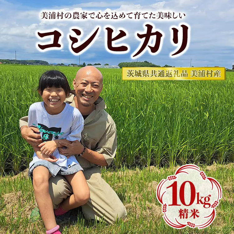 【令和7年産】コシヒカリ 精米 10kg【茨城県共通返礼品　美浦村産】 ※2026年6月～発送