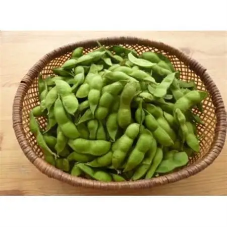 丹波黒 黒枝豆1kg(さやのみ)【配送不可地域：離島・北海道・沖縄県・東北】【1543706】