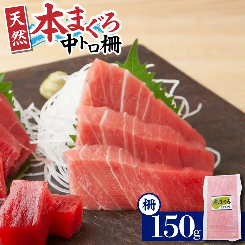 ＜選べる配送月＞神奈川県 漁連 天然 本マグロ 中トロサク M077-012-02 冷凍 マグロ