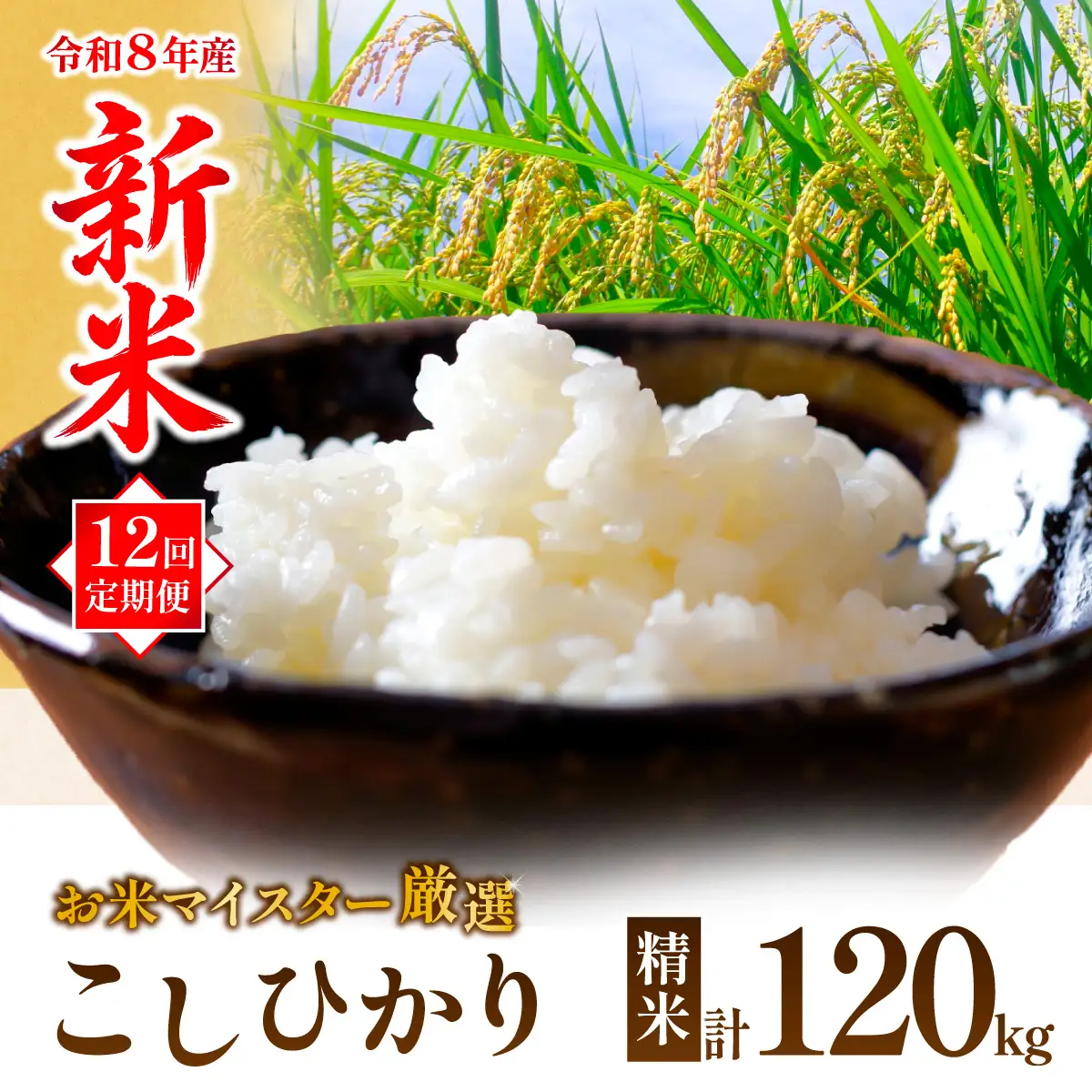 ＜12ヵ月定期便＞【令和8年産】 お米マイスターセレクト茨城産コシヒカリ(精米10kg) | 精米  コシヒカリ 米 お米 ごはん  