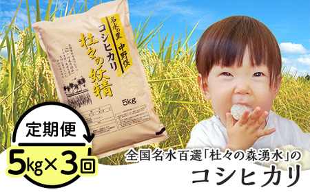 43-09【3ヶ月連続お届け】杜々の妖精コシヒカリ5kg（全国名水百選栃尾産）