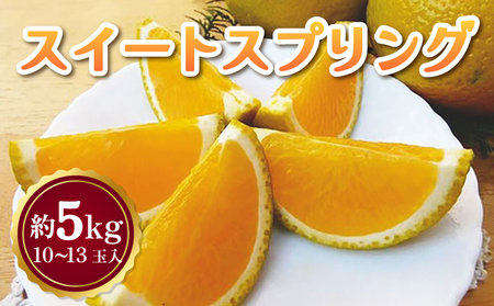 【先行予約】 スイートスプリング 約5kg 10～13玉 【吉田レモニー】