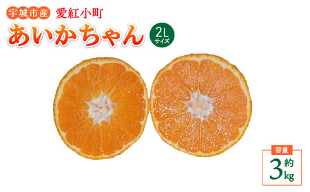 先行予約 みかん 愛紅小町 あいかちゃん 約3kg 15～20玉 2Lサイズ 吉田レモニー 2026年11月上旬から2027年1月下旬発送予定