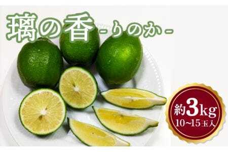 先行予約 レモン 璃の香（りのか） 約3kg 10～15玉 【吉田レモニー】【2026年8月下旬から2027年4月下旬発送予定】