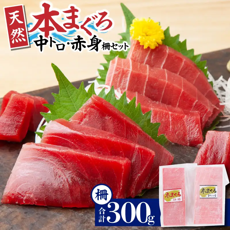 ＜選べる配送月＞神奈川県漁連 天然本マグロ 中トロ ・ 赤身 セット　M077-012-03 冷凍 マグロ