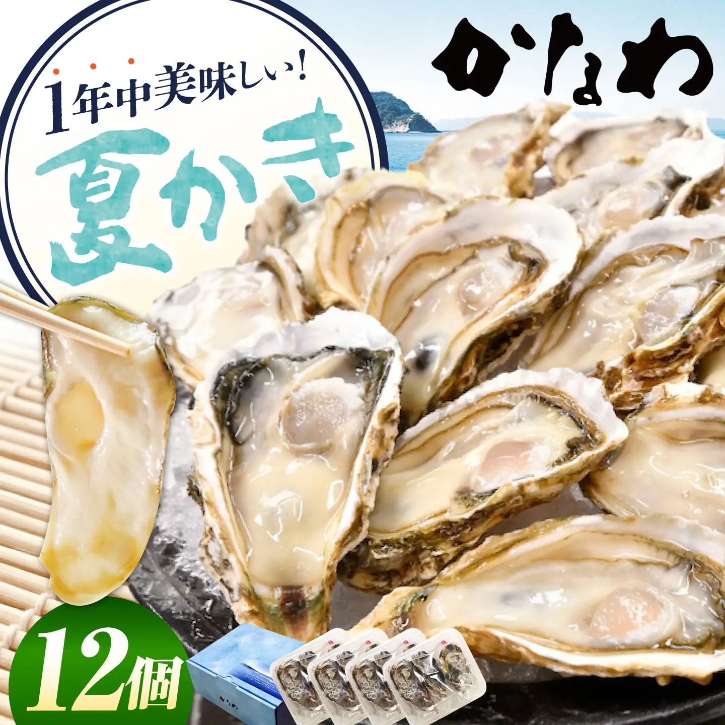 生牡蠣夏かき12個 牡蠣[XBP013]