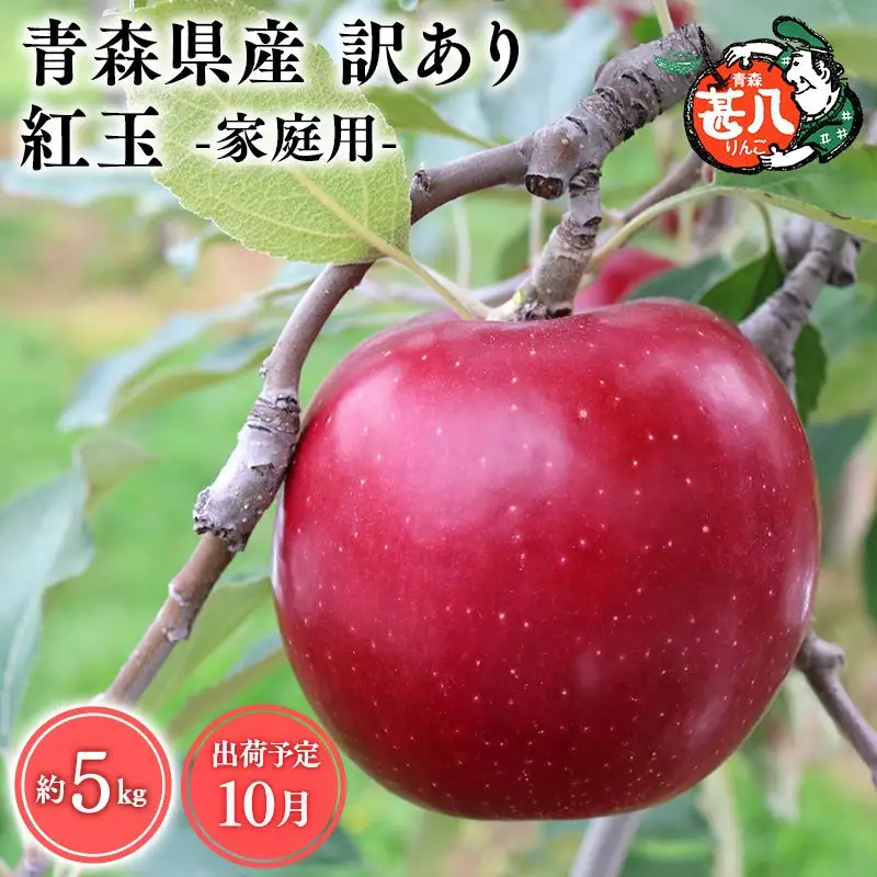りんご 家庭用 紅玉５kg[hi-0058-002]