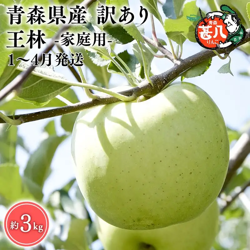 りんご  家庭用  王林 5kg 【hi-0058-017-0104】