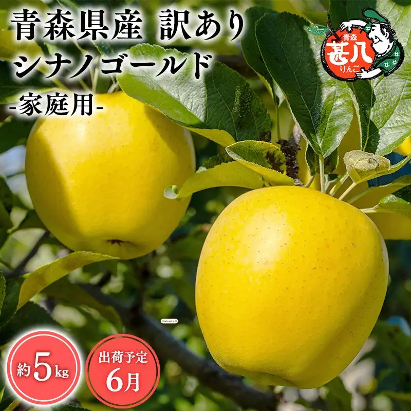 りんご 家庭用 シナノゴールド5kg　