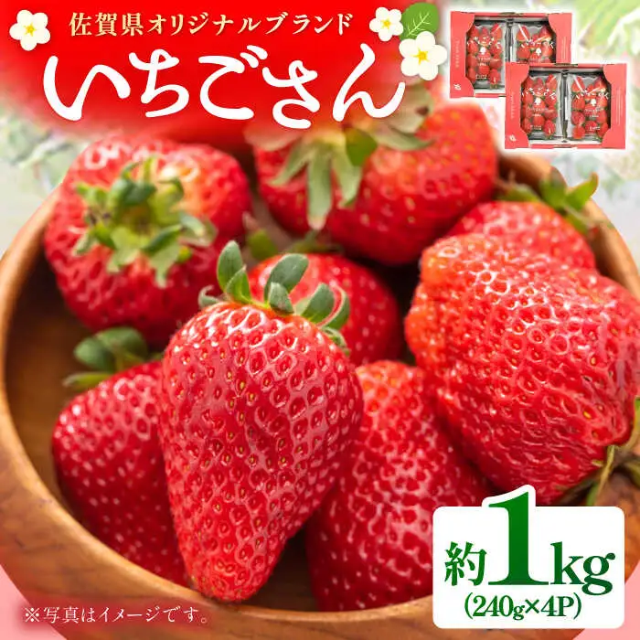 【2027年2月以降順次発送】いちごさん 約1kg（240g×4パック） / 佐賀県 / さが風土館季楽 [41AABE102]