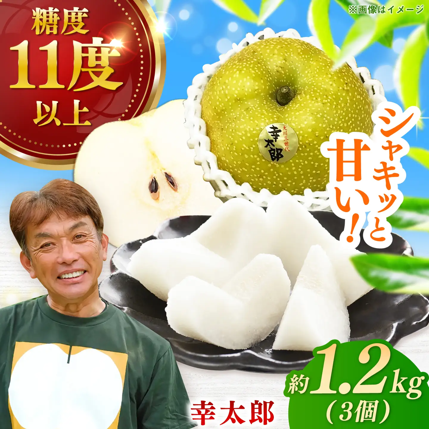 【化粧箱入り】幸太郎（幸水）3個入（約1.2kg） / 佐賀県 / 大川三世代 [41AEAB003]