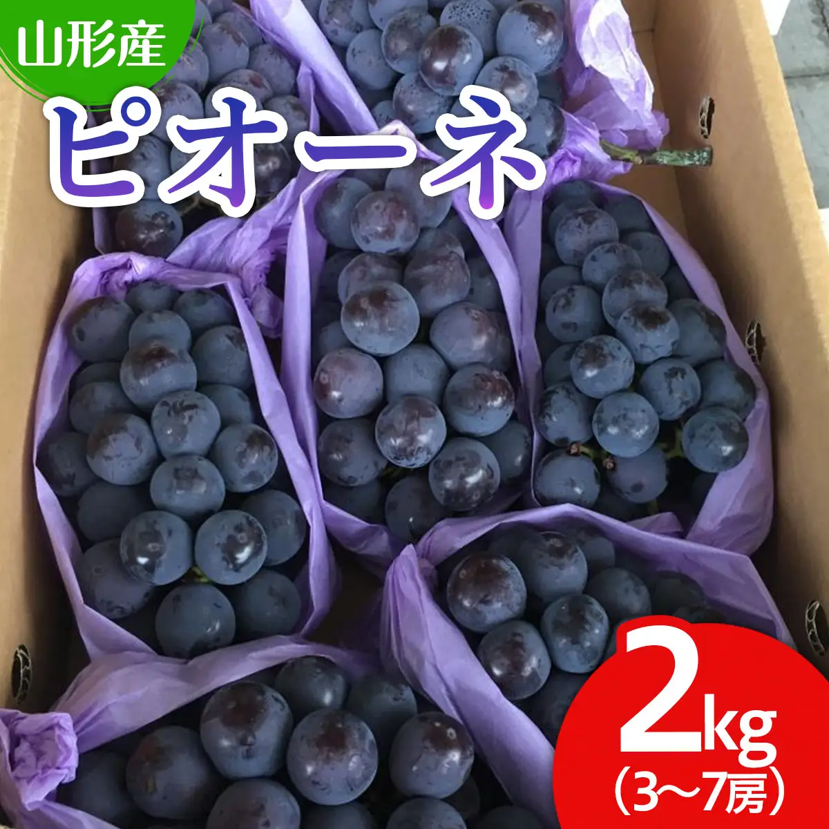 山形市産 ぶどう(ピオーネ) 秀 2kg(3?7房)[前半] 【令和8年産先行予約】FU19-697 くだもの 果物 フルーツ 山形 山形県 山形市 2026年産