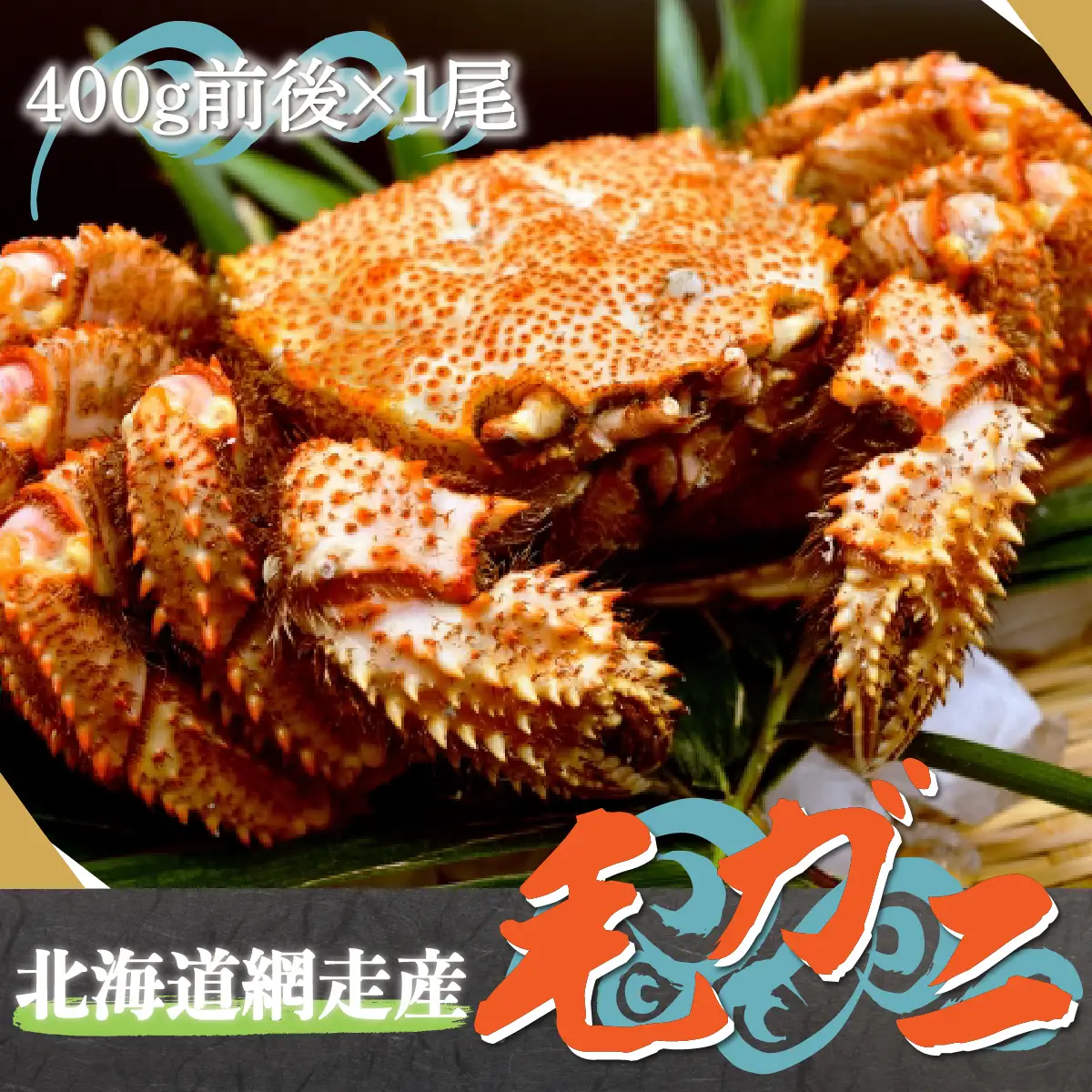 北海道網走産毛ガニ（400g前後×1尾） ABE081 | 毛がに 