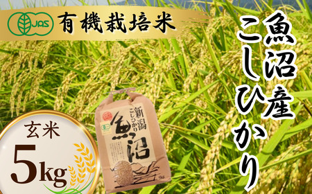 魚沼 コシヒカリ JAS有機栽培 玄米 5kg わたなべ農園 ｜玄米 新潟県 小千谷市