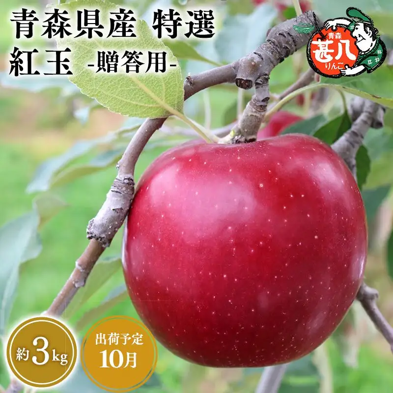 りんご 特選　紅玉３kg [hi-0058-043]