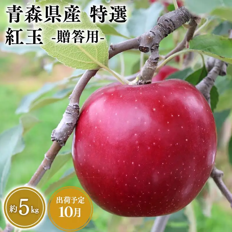 りんご 特選　紅玉 5kg [hi-0058-044]