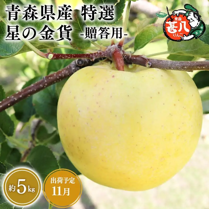りんご 特選　星の金貨 5kg [hi-0058-047]