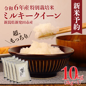 ミルキークイーン 10kg 令和6年産 新潟県産 新発田市産 米 ミルキークイーン 人気のミルキークイーン おすすめミルキークイーン おいしいミルキークイーン sskk002 