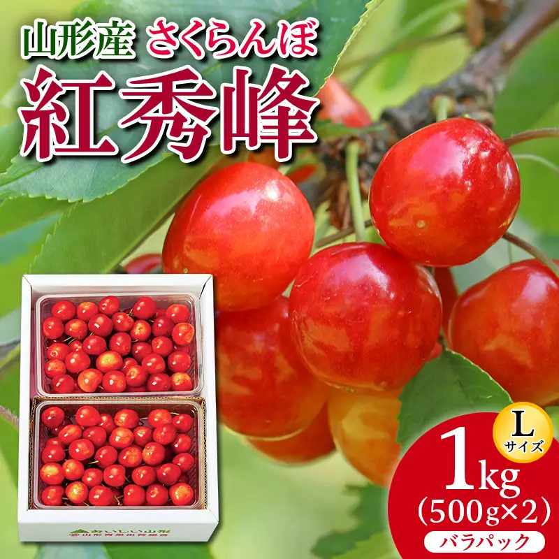 さくらんぼ 紅秀峰 L 1kg(500g×2) バラパック 【令和9年産先行予約】FS26-657