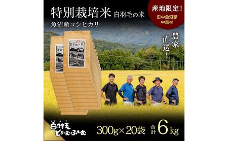 【通年受付】≪令和8年産≫ 農家直送！魚沼産コシヒカリ特別栽培「白羽毛の米」精米 (300g×20袋) 6kg