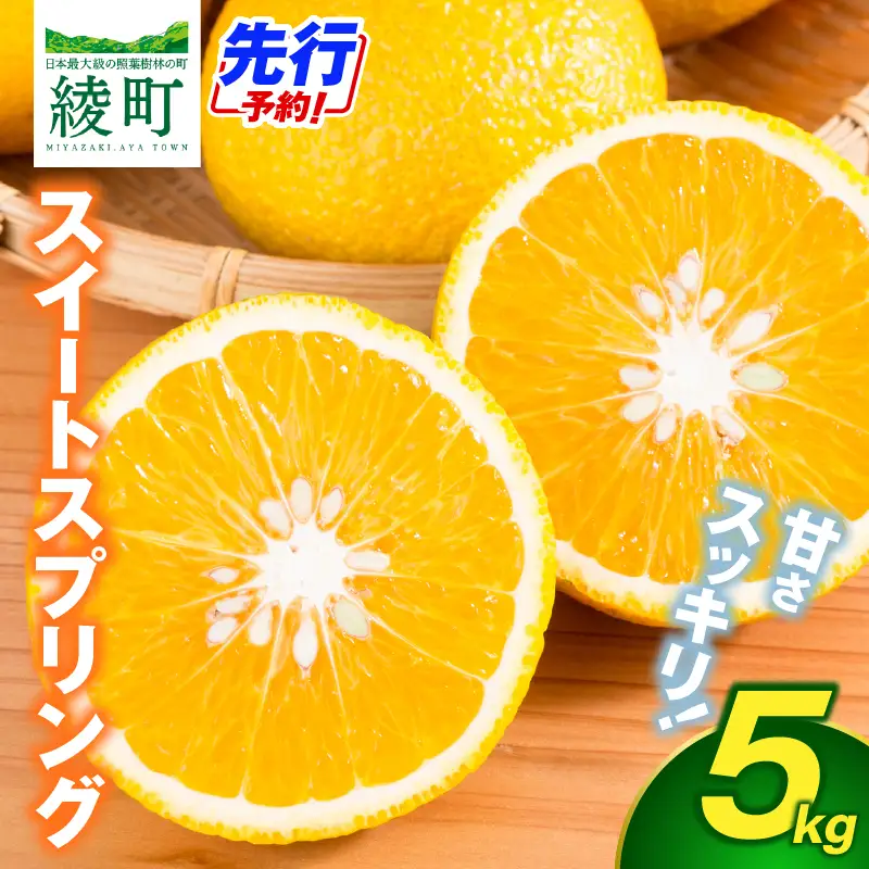【先行予約】希少柑橘「スイートスプリング」5kg [化粧箱] 果物 フルーツ くだもの 柑橘 オレンジ みかんジュース おすすめ ギフト 贈り物 贈答 プレゼント おすそ分け おやつ スイーツ デザート 常温 産地直送 宮崎県 綾町 送料無料【JA綾町】_A0114-2581