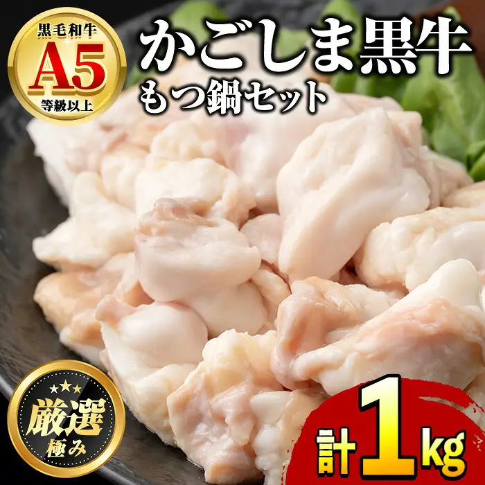 【0091725a】鹿児島県産黒毛和牛！A5牛もつ鍋セット(合計1kg・小腸約300g、スープ約700g) 牛肉 肉 和牛 冷凍 国産 お肉 なべ 鍋 もつ鍋【前田畜産たかしや】