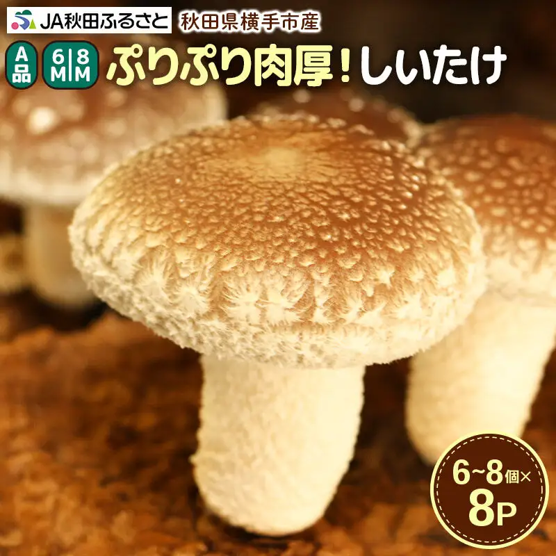 しいたけ A級品 Mサイズ 約800g(約100g(6～8個入)×8パック)