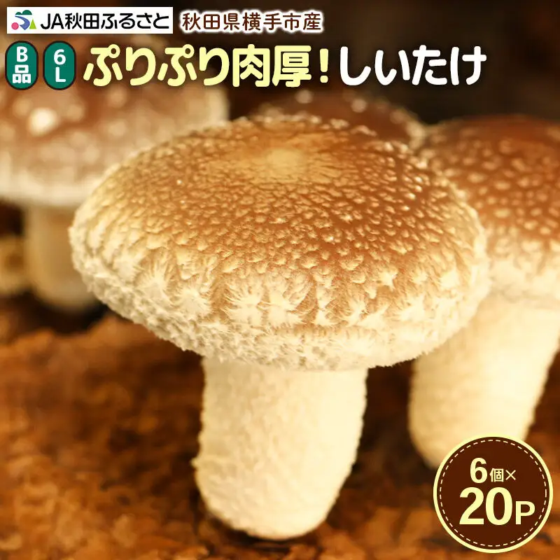しいたけ B品 6L（約150g）×20パック