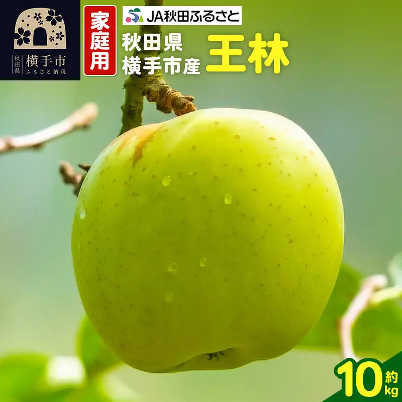 秋田県横手市産 りんご 王林 家庭用 約10kg