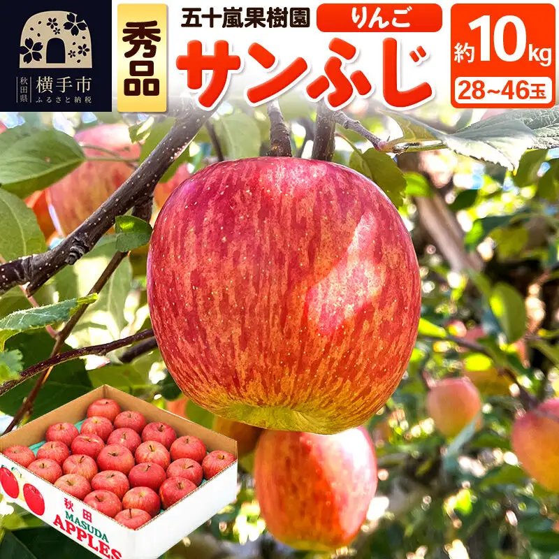 【先行受付】12月中旬より発送 サンふじ 【秀品】約10kg （28～46玉）りんご 林檎