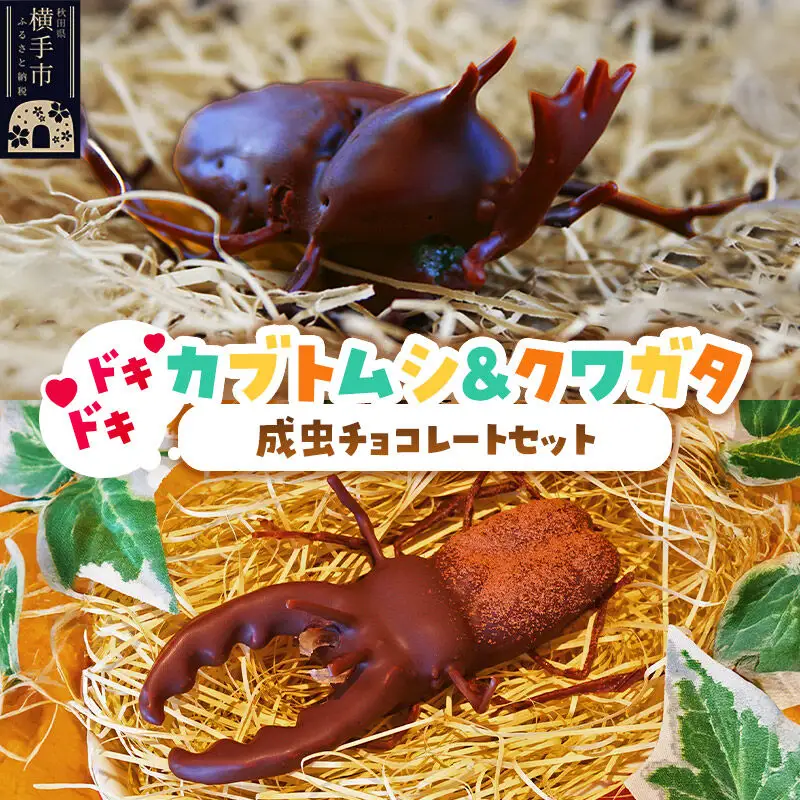 カブトムシの成虫チョコレート＆クワガタチョコレート 小松屋本店 プレゼント インスタ映え お菓子 スイーツ チョコ チョコレート ギフト