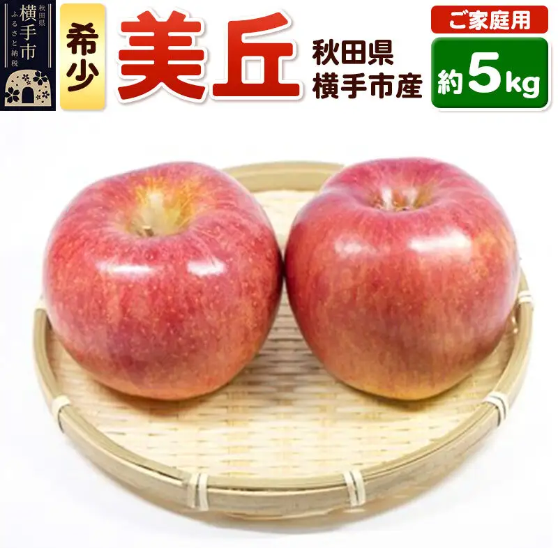 【先行受付 12月中旬より発送】希少品種！追熟でおいしさ倍増！横手市産りんご(美丘) ご家庭用 約5kg
