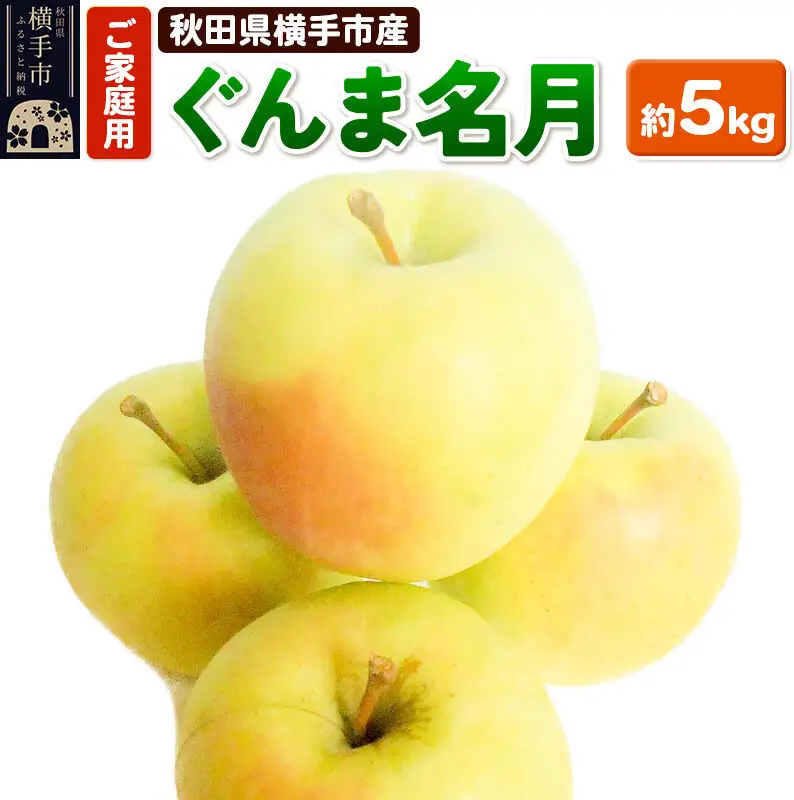 希少品種！秋田県横手産 りんご ぐんま名月 ご家庭用 約5kg