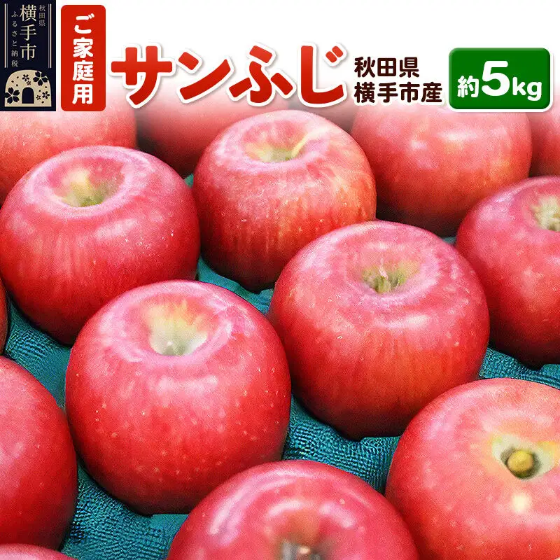【先行受付 12月上旬より発送】秋田県横手産 りんご サンふじ ご家庭用 約5kg