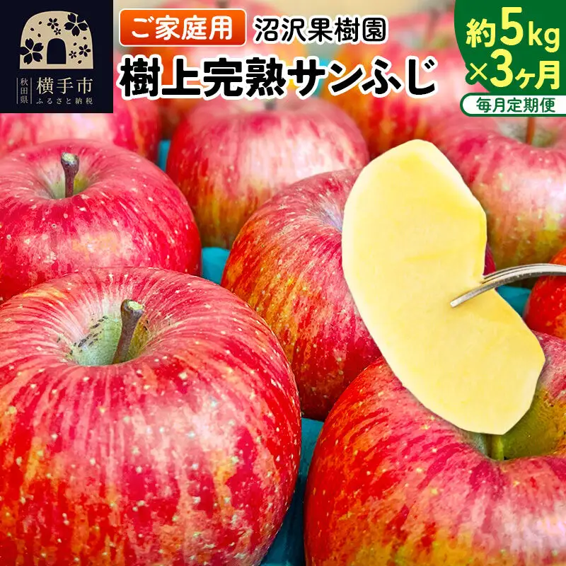 【先行受付】12月上旬より発送 《定期便3ヶ月》樹上完熟サンふじ ご家庭用 約5kg（13～23玉前後）×3回 計15kg 3か月 3ヵ月 3カ月 3ケ月