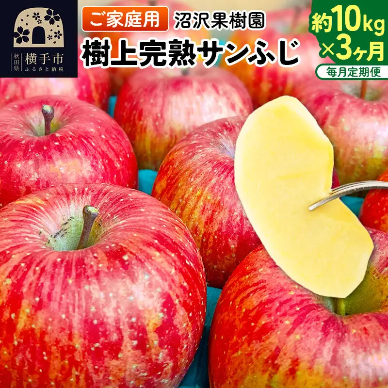 【先行受付】12月上旬より発送 《定期便3ヶ月》樹上完熟サンふじ ご家庭用 約10kg（1回26～46玉前後）×3回 計30kg 3か月 3ヵ月 3カ月 3ケ月