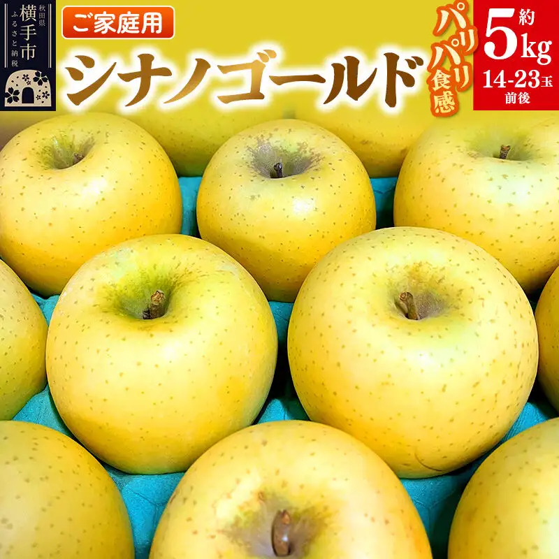 【先行受付】1月中旬より発送 パリパリ食感シナノゴールド ご家庭用 約5kg（14～23玉前後）