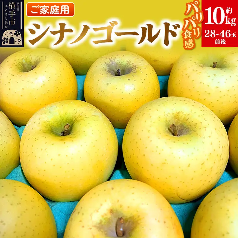 【先行受付】1月中旬より発送 パリパリ食感シナノゴールド ご家庭用 約10kg（28～46玉前後）