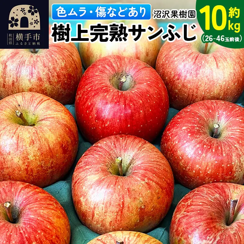 【先行受付】12月上旬より発送 【色ムラ・キズ等あり】樹上完熟サンフジ 約10kg（26～46玉前後）