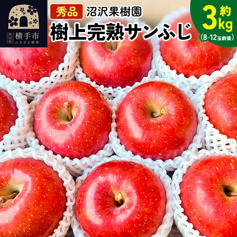 【先行受付】12月上旬より発送 贈り物にもおすすめ！サンフジ 秀品 約3kg（8～12玉前後）